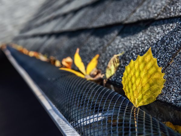 A leaf is sitting on the gutter of a house.
