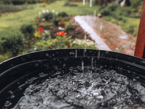 A close up of water pouring out of a bowl