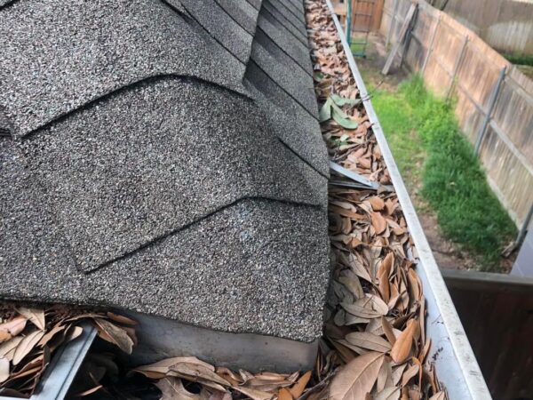 A gutter filled with leaves and debris on the roof.