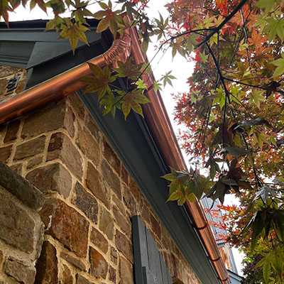 A close up of the corner of a house with leaves on it